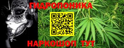 стафф Коломна